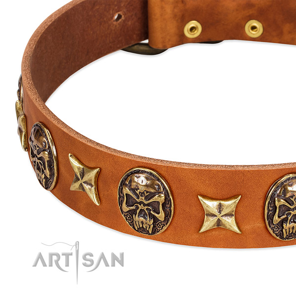 Strong embellishments on full grain leather dog collar for your canine