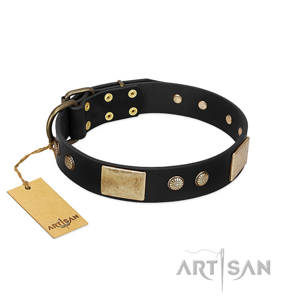 Easy adjustable genuine leather dog collar for basic training your dog
