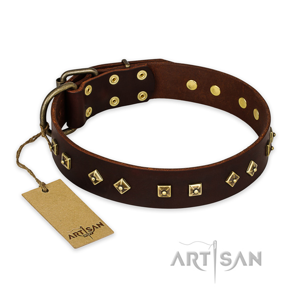 Stunning leather dog collar with corrosion proof traditional buckle
