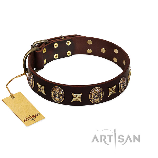 Exquisite leather collar for your four-legged friend