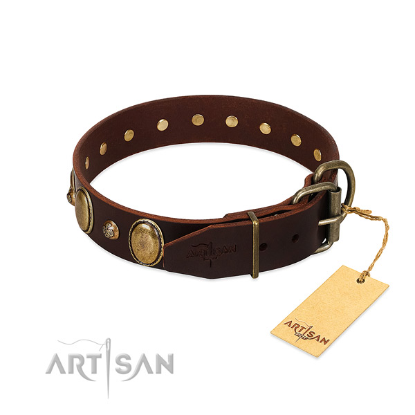 Durable hardware on natural genuine leather collar for basic training your four-legged friend