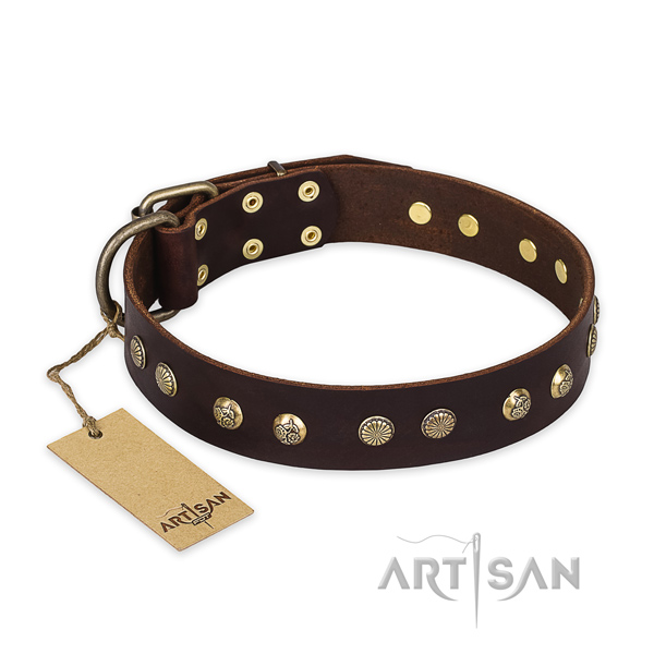Unusual leather dog collar with rust resistant D-ring