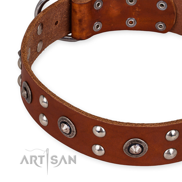 Full grain natural leather collar with durable fittings for your handsome doggie