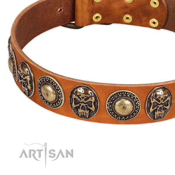 Corrosion resistant decorations on full grain natural leather dog collar for your pet