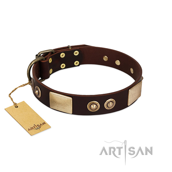 Adjustable leather dog collar for basic training your pet