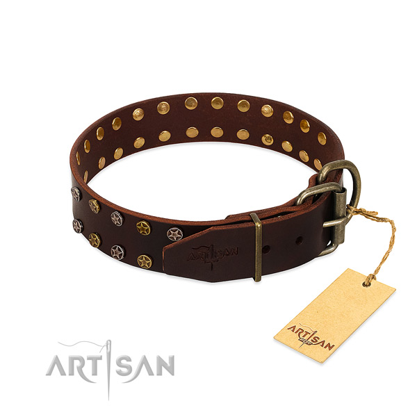 Daily walking full grain leather dog collar with top notch adornments