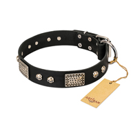 "Pirates Gold" FDT Artisan Black Leather American Bulldog Collar with Old Silver Look Plates and Skulls (image for) "Pirates Gold" FDT Artisan Black Leather American Bulldog Collar with Old Silver Look Plates and Skulls