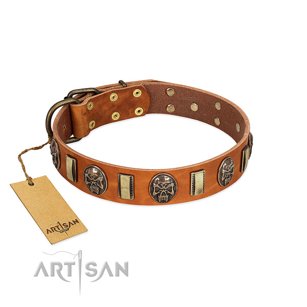 Inimitable full grain natural leather dog collar for daily walking