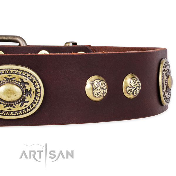 Amazing leather collar for your beautiful four-legged friend