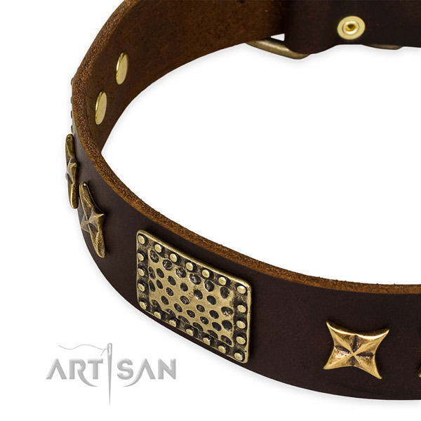Full grain leather collar with rust-proof fittings for your handsome doggie