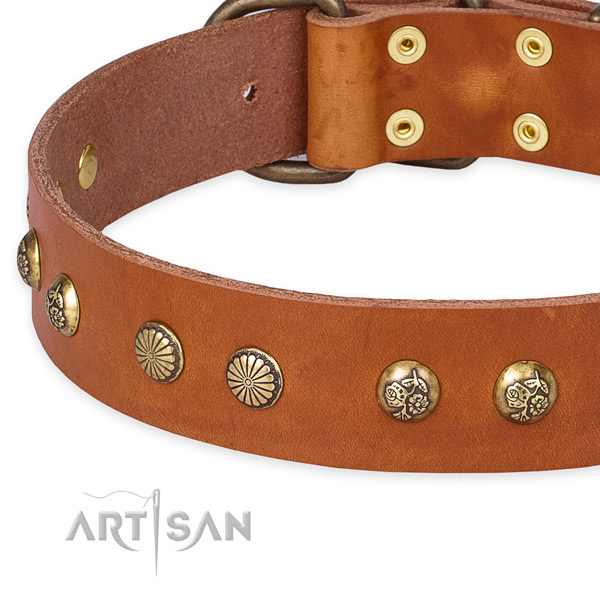 Full grain leather collar with rust resistant buckle for your lovely four-legged friend