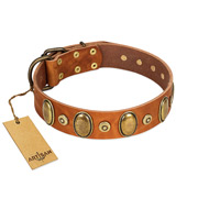 "Crystal Sand" FDT Artisan Tan Leather American Bulldog Collar with Vintage Looking Oval and Round Studs (image for) "Crystal Sand" FDT Artisan Tan Leather American Bulldog Collar with Vintage Looking Oval and Round Studs