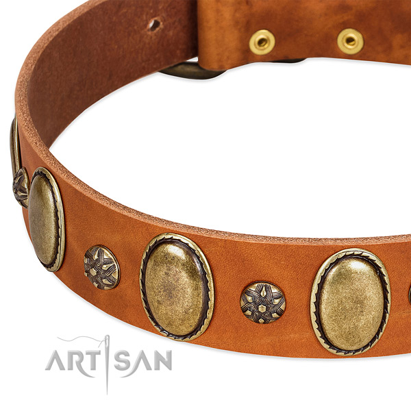 Easy wearing high quality full grain leather dog collar
