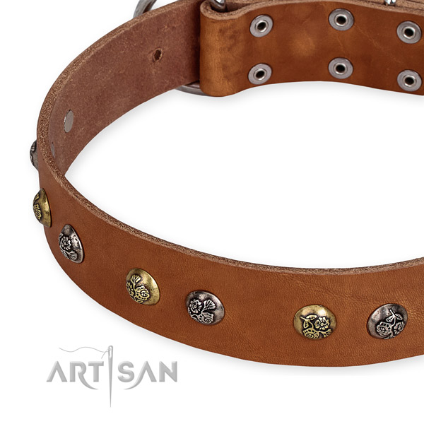 Full grain genuine leather dog collar with remarkable rust resistant adornments