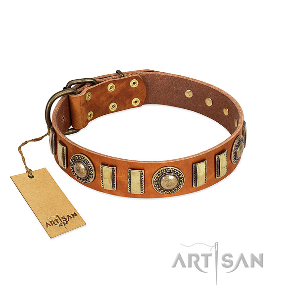 Extraordinary full grain natural leather dog collar with durable fittings