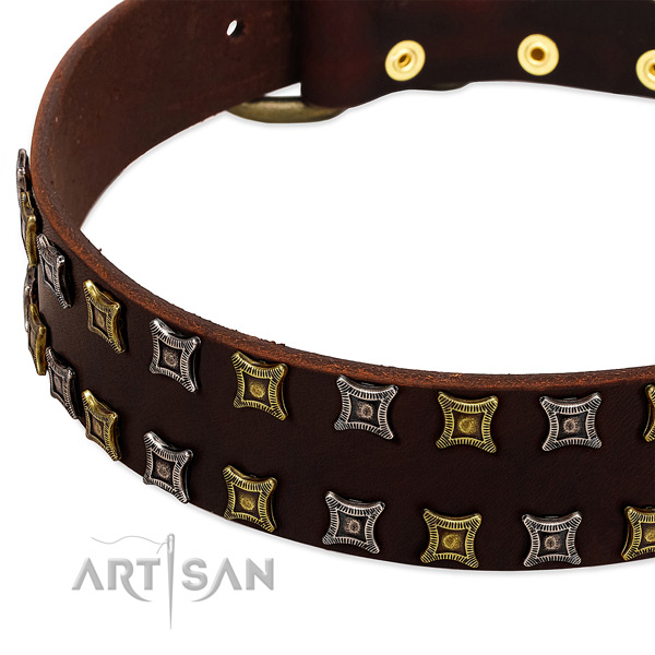 Top rate leather dog collar for your handsome four-legged friend