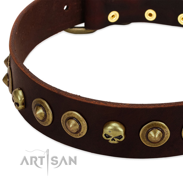 Significant adornments on full grain natural leather collar for your doggie