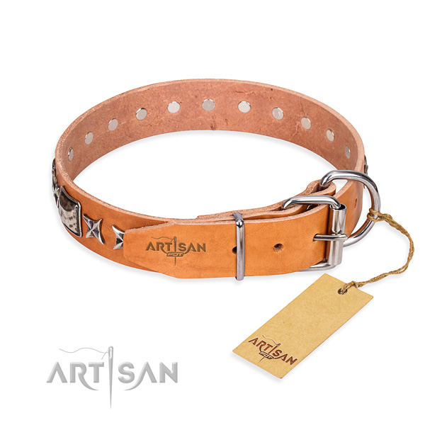 Top quality adorned dog collar of full grain leather