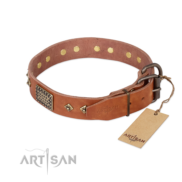 Full grain natural leather dog collar with reliable buckle and studs