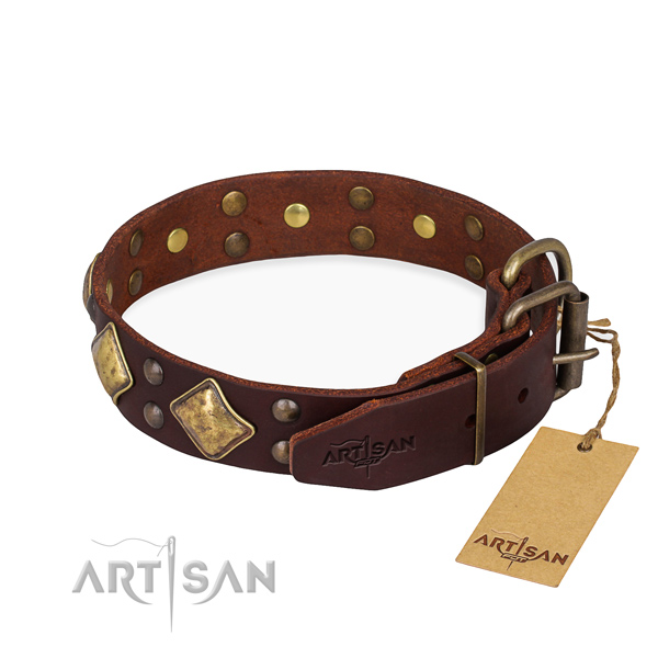 Natural leather dog collar with trendy durable decorations