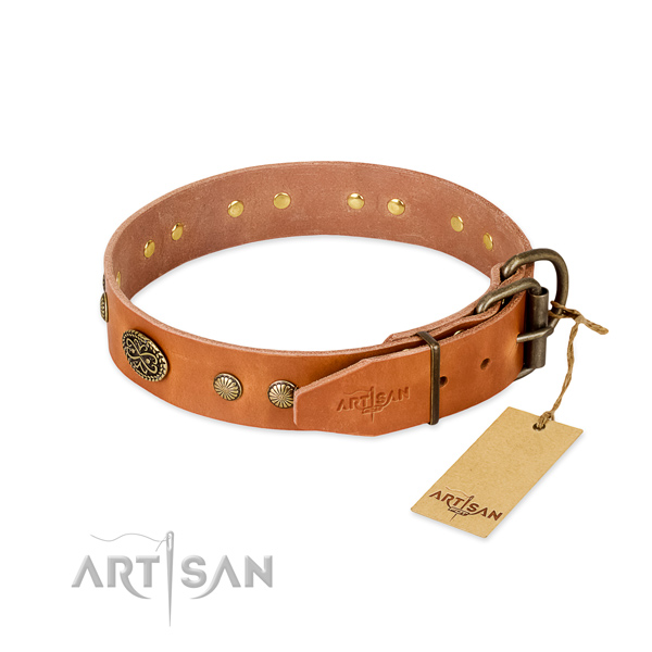 Durable adornments on full grain genuine leather dog collar for your pet