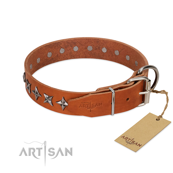 Daily walking decorated dog collar of high quality leather