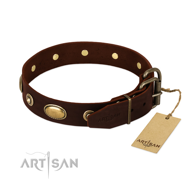 Corrosion proof fittings on natural leather dog collar for your four-legged friend