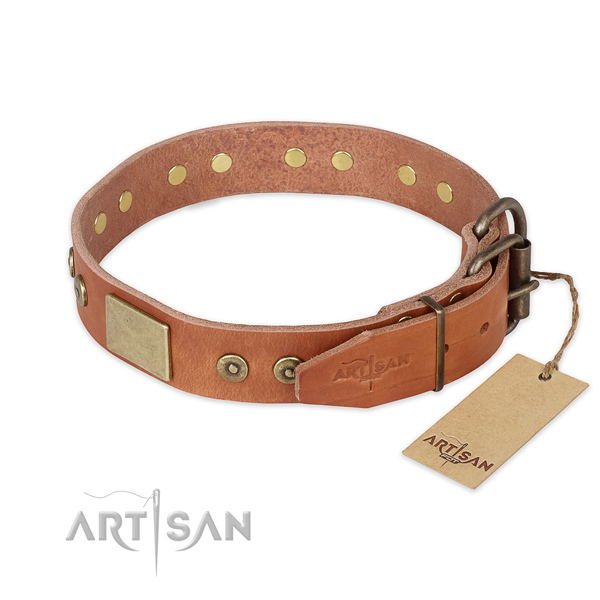 Strong hardware on leather collar for daily walking your four-legged friend
