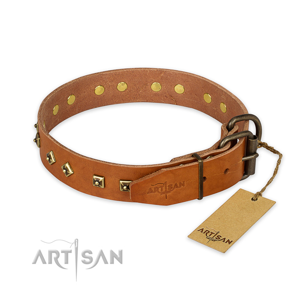 Corrosion resistant fittings on leather collar for basic training your doggie