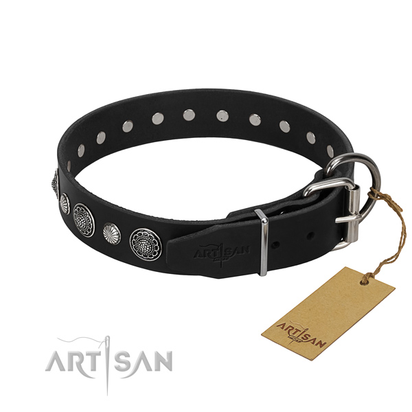 Reliable genuine leather dog collar with stylish studs