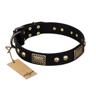 "Biker Style" FDT Artisan Black Leather American Bulldog Collar with Old Bronze Look Plates and Skulls (image for) "Biker Style" FDT Artisan Black Leather American Bulldog Collar with Old Bronze Look Plates and Skulls