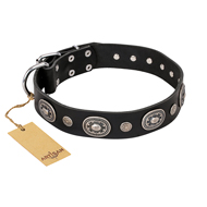 "Black Tie" FDT Artisan Leather American Bulldog Collar with Old Silver-like Decorations (image for) "Black Tie" FDT Artisan Leather American Bulldog Collar with Old Silver-like Decorations