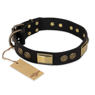 "Ancient Egypt" FDT Artisan Leather American Bulldog Collar with Old Bronze Look Decorations (image for) "Ancient Egypt" FDT Artisan Leather American Bulldog Collar with Old Bronze Look Decorations