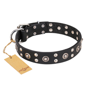 "Refined Essence" FDT Artisan Black Leather American Bulldog Collar with Silvery Studs (image for) "Refined Essence" FDT Artisan Black Leather American Bulldog Collar with Silvery Studs