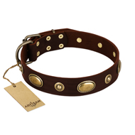 "Hebe's Jewel" FDT Artisan Brown Genuine Leather American Bulldog Collar (image for) "Hebe's Jewel" FDT Artisan Brown Genuine Leather American Bulldog Collar