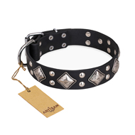 "Smart Geometry" FDT Artisan Studded Leather American Bulldog Collar (image for) "Smart Geometry" FDT Artisan Studded Leather American Bulldog Collar