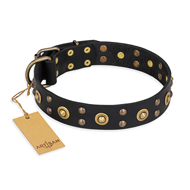 "Cosmic Glow" FDT Artisan Black Leather American Bulldog Collar with Brass-Plated Studs (image for) "Cosmic Glow" FDT Artisan Black Leather American Bulldog Collar with Brass-Plated Studs