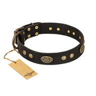 "Perfect Tracery" FDT Artisan Black Leather American Bulldog Collar with Old Bronze Look Plates and Circles (image for) "Perfect Tracery" FDT Artisan Black Leather American Bulldog Collar with Old Bronze Look Plates and Circles