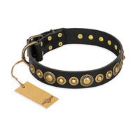 "Gold Mine" FDT Artisan Black Leather American Bulldog Collar with Amazing Bronze-Plated Round Studs (image for) "Gold Mine" FDT Artisan Black Leather American Bulldog Collar with Amazing Bronze-Plated Round Studs