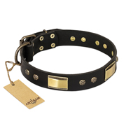 "Black Sun" FDT Artisan Leather American Bulldog Collar with Brass Plated Decorations (image for) "Black Sun" FDT Artisan Leather American Bulldog Collar with Brass Plated Decorations