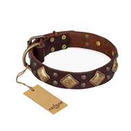 "Golden Square" FDT Artisan Brown Leather American Bulldog Collar with Large Squares (image for) "Golden Square" FDT Artisan Brown Leather American Bulldog Collar with Large Squares