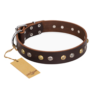 "Rare Flower" FDT Artisan Brown Leather American Bulldog Collar Adorned with Old-look Hemisphere Studs (image for) "Rare Flower" FDT Artisan Brown Leather American Bulldog Collar Adorned with Old-look Hemisphere Studs