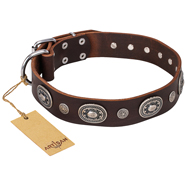 "Extra Pizzazz" FDT Artisan Adorned Brown Leather American Bulldog Collar (image for) "Extra Pizzazz" FDT Artisan Adorned Brown Leather American Bulldog Collar