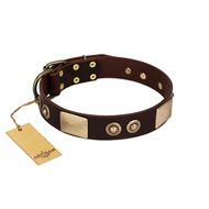 "Sense of Freedom" FDT Artisan Brown Leather American Bulldog Collar with Old Bronze-Plated Studs and Plates (image for) "Sense of Freedom" FDT Artisan Brown Leather American Bulldog Collar with Old Bronze-Plated Studs and Plates