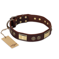 "Golden Stones" FDT Artisan Brown Leather American Bulldog Collar with Old Bronze Look Plates and Circles (image for) "Golden Stones" FDT Artisan Brown Leather American Bulldog Collar with Old Bronze Look Plates and Circles