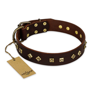 "Fashion Studs" FDT Artisan Decorated Leather American Bulldog Collar with Old Bronze-Plated Steel Hardware (image for) "Fashion Studs" FDT Artisan Decorated Leather American Bulldog Collar with Old Bronze-Plated Steel Hardware