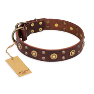 "Caprice of Fashion" FDT Artisan Brown Leather American Bulldog Collar with Round Decorations (image for) "Caprice of Fashion" FDT Artisan Brown Leather American Bulldog Collar with Round Decorations