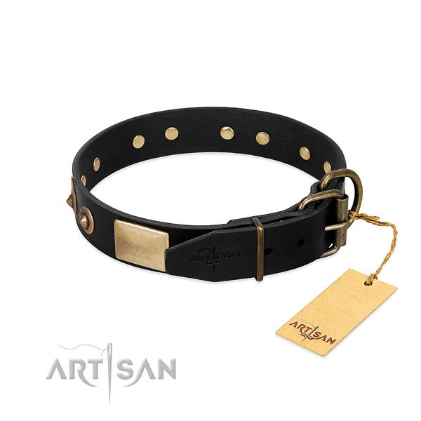 Durable traditional buckle on easy wearing dog collar