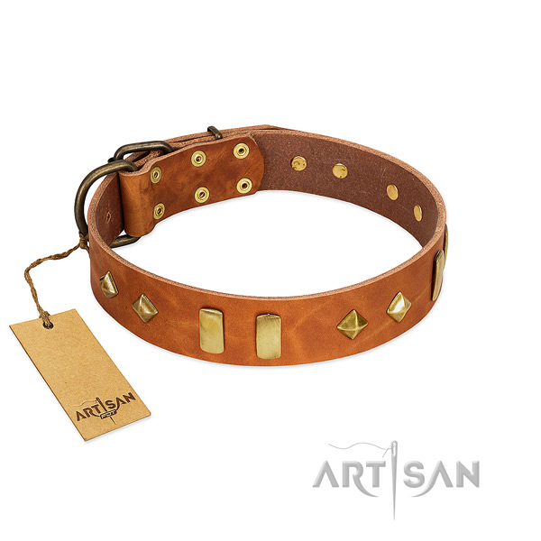 Daily walking top rate full grain leather dog collar with embellishments