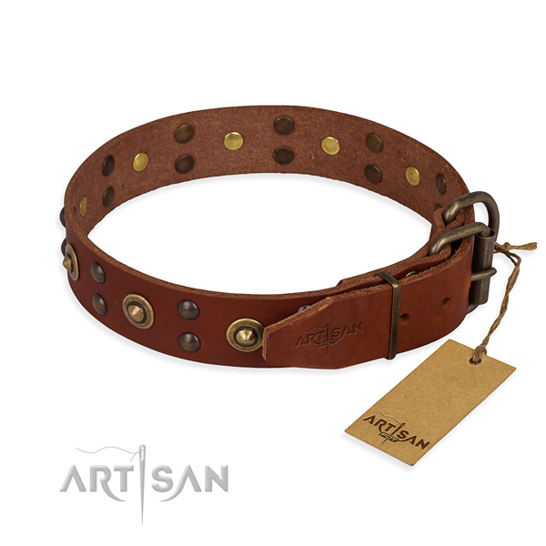 Rust-proof traditional buckle on full grain natural leather collar for your attractive dog